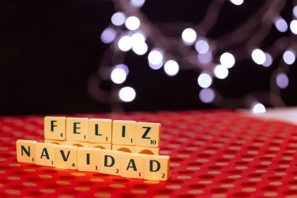 Perro feliz envuelto en una toalla después de su baño
